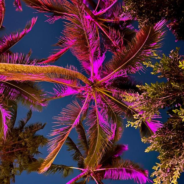 Brazilian Wax Package 