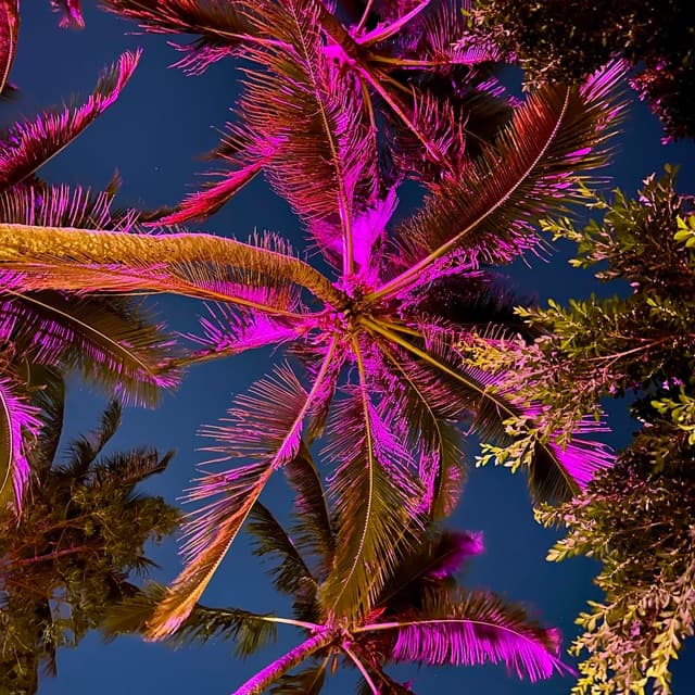 Paradise Wax Membership 🌴⭐️ at Gina’s Paradise Esthetics in Reading, MA